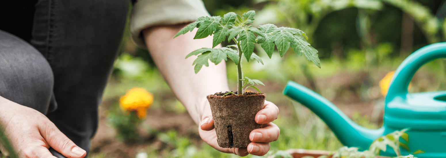 Donner un nouveau sens à la vie après un décès